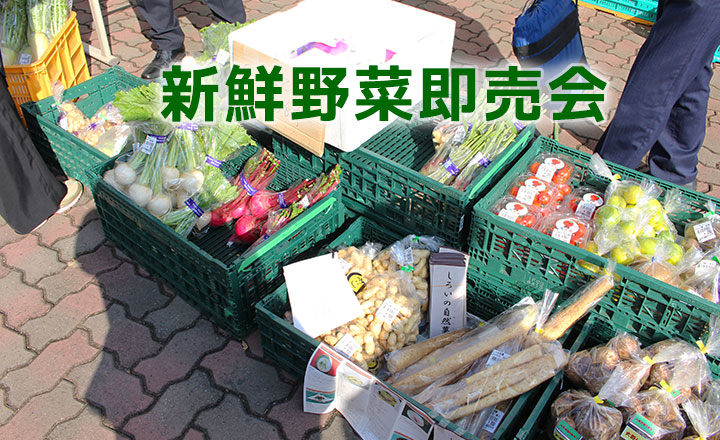 新鮮野菜即売会