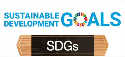 SDGs