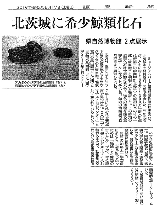 本学の教員が「読売新聞」に紹介されました